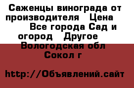 Саженцы винограда от производителя › Цена ­ 800 - Все города Сад и огород » Другое   . Вологодская обл.,Сокол г.